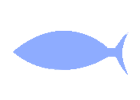 Minnow