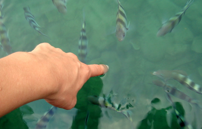 Thumbnail Photo