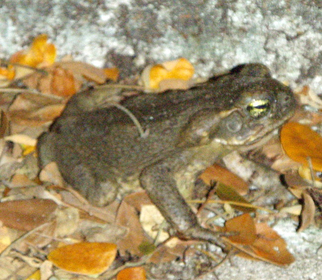 Thumbnail Photo