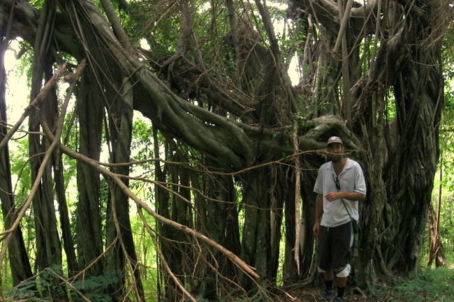 Thumbnail Photo