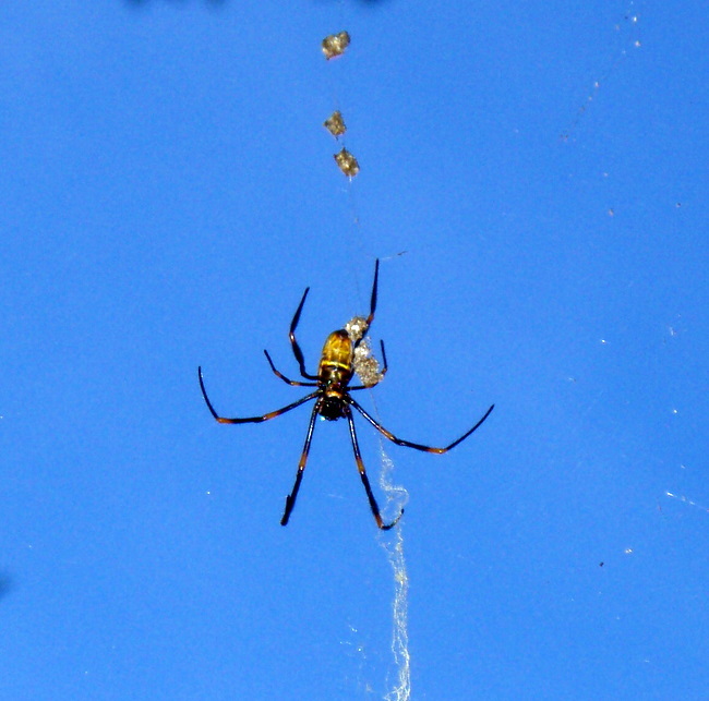 Thumbnail Photo