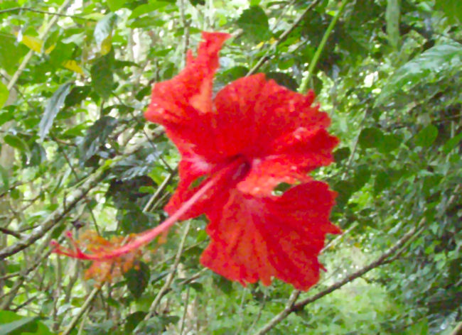 Thumbnail Photo