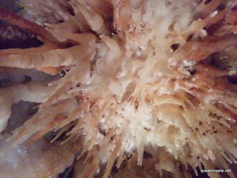 Thumbnail Photo
