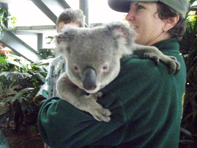 Thumbnail Photo