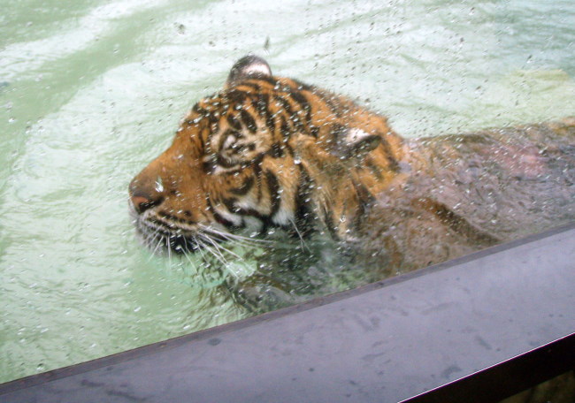 Thumbnail Photo