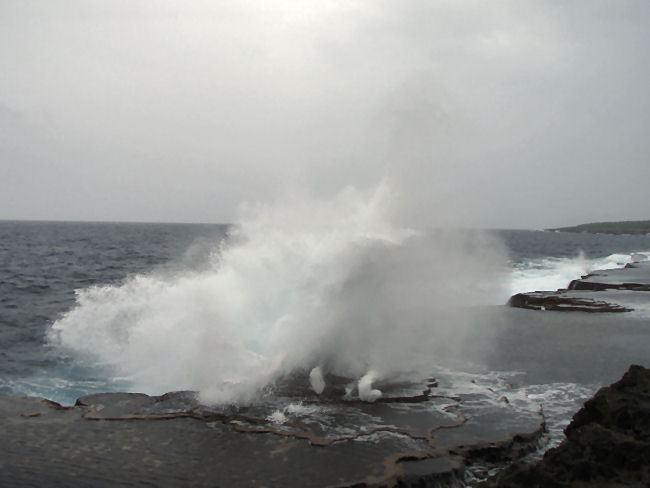 Thumbnail Photo