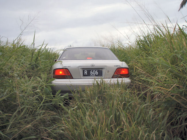 Thumbnail Photo