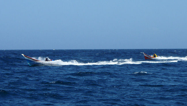 Thumbnail Photo