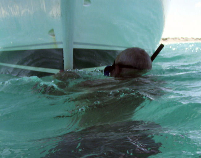 Thumbnail Photo