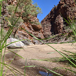 icon Ruby Gap