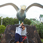 icon Galapagos