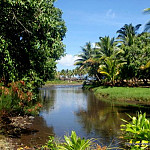icon Hakaui
