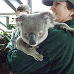 Thumb for Queensland