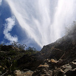 icon Queensland