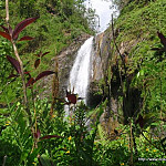 icon Waterfall