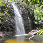 icon Waterfalls